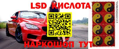 амф Кулебаки