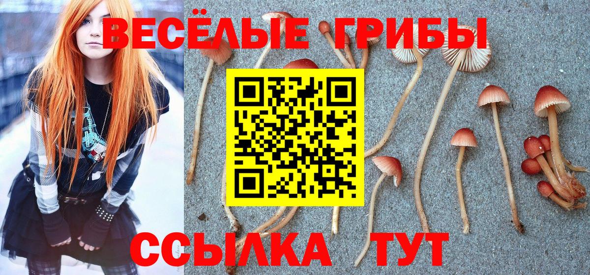 Псилоцибиновые грибы мухоморы  продажа наркотиков  Дзержинск  Вход с VPN 